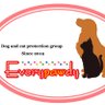 Фото профиля 一般社団法人Everypawdy【公式】