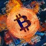 Le President Bitcoin #btc profil fotoğrafı