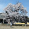 Фото профиля いつき