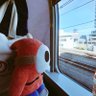 ぺん profil fotoğrafı