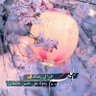 marina uae's profile picture