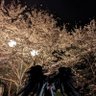 874965ダイヤ不正利用した亡者's profile picture
