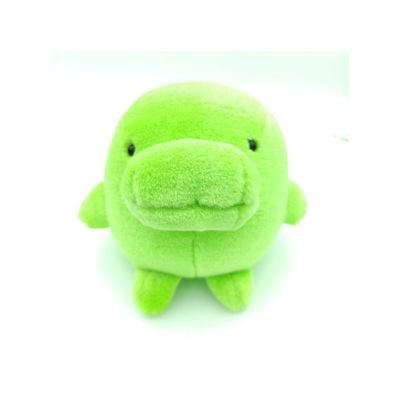 처돌's profile picture