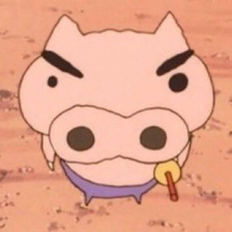 새우등's profile picture