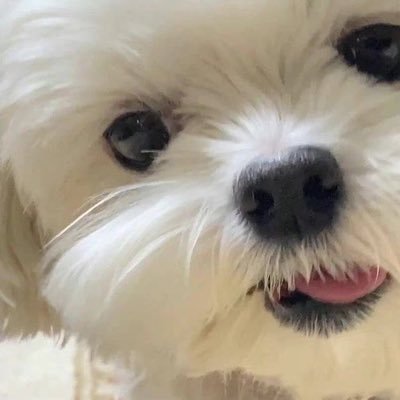 🕸️'s profile picture