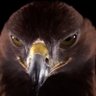 Profilbild von • ⏰ ⏰ NEXT BLOCK