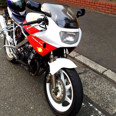 ccllee_yaoki's profile picture
