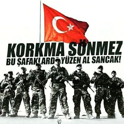 Yeşil Zeytin's profile picture