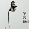 乱小户's profile picture