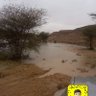 ابو ساري والكل داري 👋 محاضر's profile picture