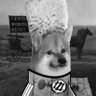 Anarcho-Fella 🇵🇸 🇺🇦✡️🏴🏳️🌈🏳️⚧️ profil fotoğrafı