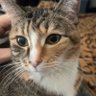 BK's profile picture