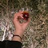 NadaAbdulrahman's profile picture