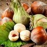 fındıkçıöğretmen 的头像