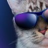 Elisabeth's profile picture