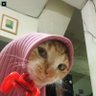 jangan terlalu serius !!! 的头像