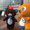 dorikuma fighters(裕美🐹ちょび) profil fotoğrafı
