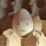Just Egg🥐 的头像