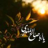 🇮🇷Delnavaz🇮🇷's profile picture