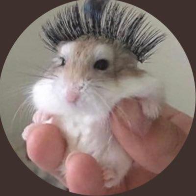 cheezeeyou's profile picture