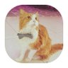 Profilbild von Sharp Mo