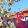 Profilbild von الراسي 🥀