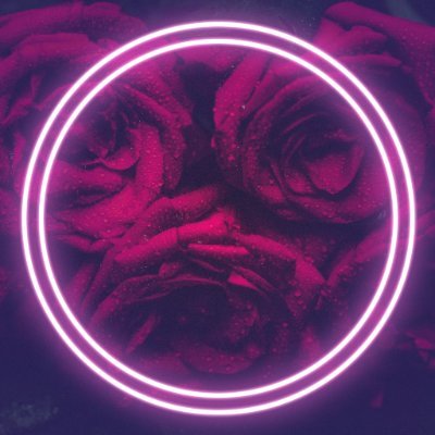 💜 Rose💕Virage 💙's profile picture