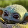 Narts's profile picture