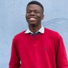 The Olumese's profile picture