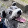 ふく 的头像