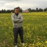 Mehmet can Çizik's profile picture
