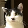 Profilbild von machi