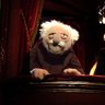 Armchair Critic's profile picture