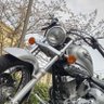 イントルーダー250LCの部屋's profile picture