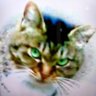 Profilbild von みか
