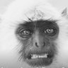 Profilbild von arsct