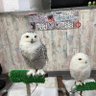 ひろゆき's profile picture