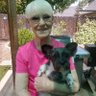 Diane Gallagher profil fotoğrafı