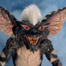 Luna de Agosto.'s profile picture