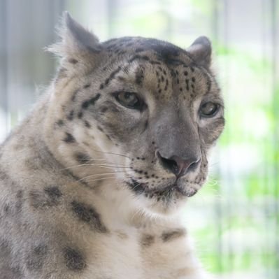 yo3_wing's profile picture