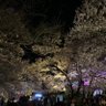 上野 profil fotoğrafı