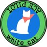 しろねこ「さん」やろ?'s profile picture
