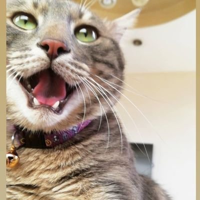bihter's profile picture