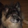 Terry Deck's profile picture