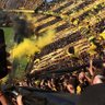 Фото профиля 💛🖤💛🖤💛🖤💛🖤