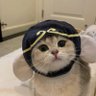Kk。's profile picture