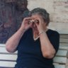 wladin profil fotoğrafı