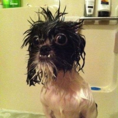 zharion7's profile picture
