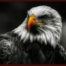 Profilbild von Kartal