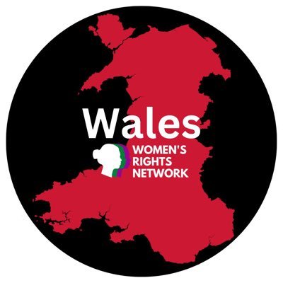 Wales-Women’s Rights Network 💜🤍💚🏴's profile picture